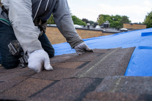 Fast & Reliable Emergency Roof Repairs in Maumee, OH